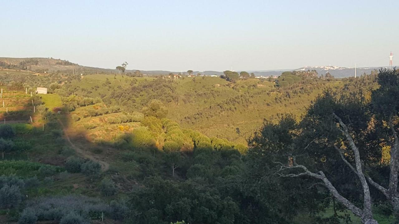 Quinta Do Caneiro - Casa Turismo Rural Constância Екстериор снимка