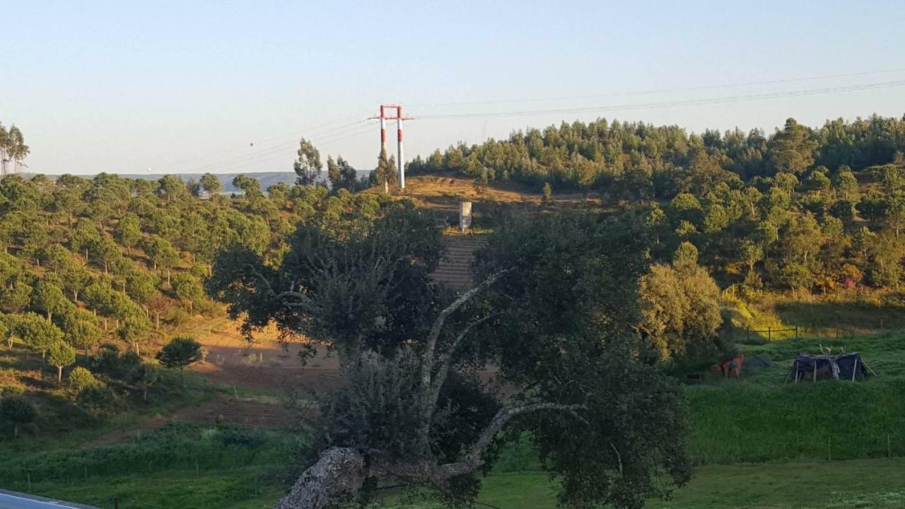 Quinta Do Caneiro - Casa Turismo Rural Constância Екстериор снимка